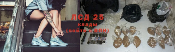 гашик Алзамай