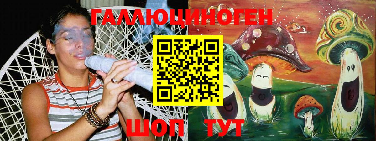 Махачкала  Галлюциногенные грибы Magic Shrooms  Вход с VPN 