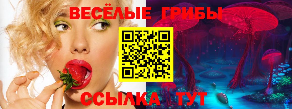 Галлюциногенные грибы GOLDEN TEACHER Махачкала