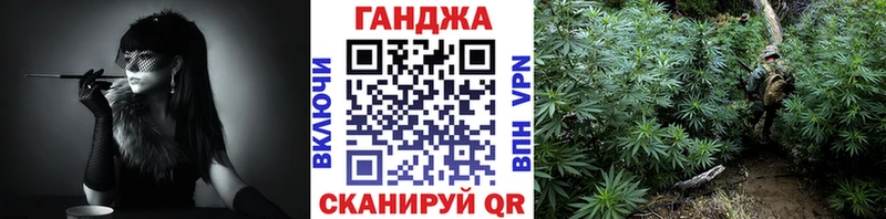 Бошки марихуана планчик  наркотики  Махачкала 